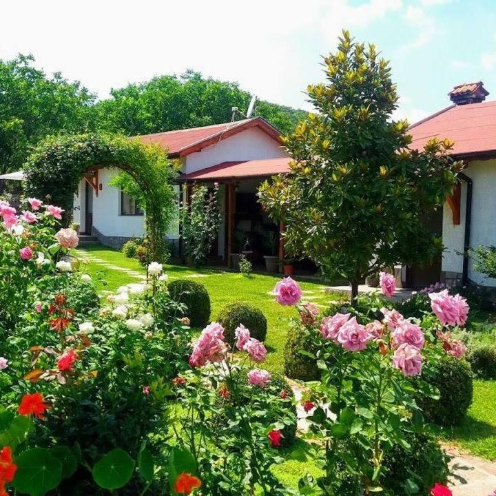 Guest House Raiski Kаt Mezek Zewnętrze zdjęcie